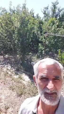 A close-up selfie of an elderly man with white hair and a beard, smiling at the camera. He is outdoors, with a blurred background of trees and vegetation, suggesting a rural or garden setting. The lighting indicates it is daytime, likely sunny. There is no audio.