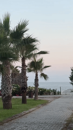 Evening stroll through palm-lined waterfront park in Manavgat