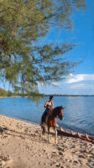 Tropical beach life documented across Ko Samui resort areas
