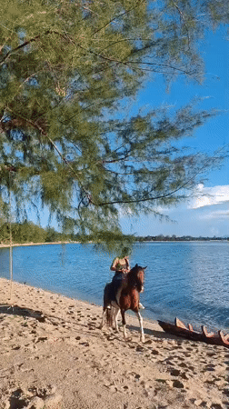 Tropical beach life documented across Ko Samui resort areas