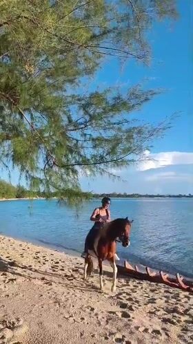 Tropical beach life documented across Ko Samui resort areas