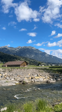 Clear stream and lush banks in the Swiss countryside