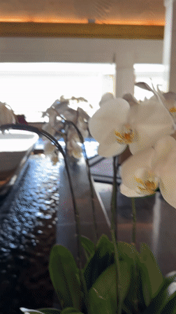 Tourist documents diverse scenes across Kuta Selatan Indonesia destinations