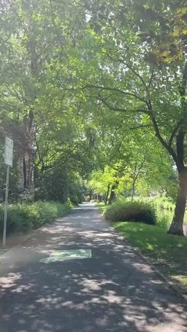 A paved pathway is visible, curving slightly to the right and receding into the distance. The path is bordered by lush green foliage and tall trees, whose leaves create dappled sunlight on the ground. The scene appears to be a park or a nature trail. There are no people or animals visible in the frame. The lighting suggests it is daytime, possibly late morning or early afternoon, with a bright sun. The overall impression is one of a serene and natural environment.