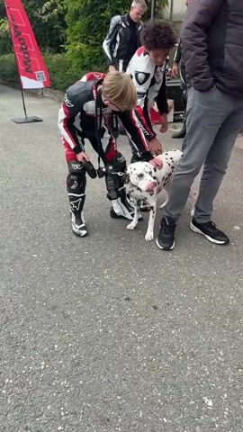 A Dalmatian dog is on a leash and interacting with two young people dressed in full motorcycle racing suits. The dog is white with black spots and has a red collar. The person on the left is wearing a red, white, and black suit and is kneeling to pet the dog. The person on the right is wearing a white, blue, and black suit and is looking at the dog and the other person. The background shows a paved area, some trees, a red banner with "MotoWings" written on it, and other people in motorcycle gear. The scene appears to be outdoors, possibly at an event or race.