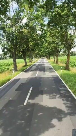 A drone shot shows a perspective from above a road lined with trees. The drone is moving forward along the road. The road is paved and has white lines marking lanes. On either side of the road are green trees with lush foliage. Beyond the trees, there are fields of green crops. The sky is blue with some white clouds. The drone's shadow is visible on the road surface.