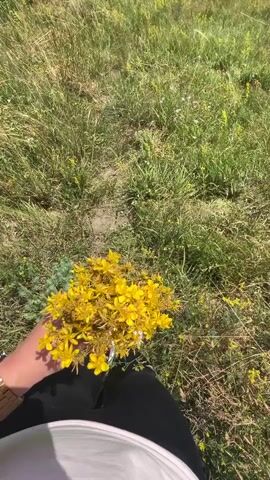 The video shows a first-person view of someone in a grassy field holding a bouquet of small yellow flowers. The person is wearing black pants and white sneakers. The background is a green, hilly landscape with some trees and a village in the distance. The sky is blue with white clouds and the sun is shining. The video pans from the flowers to the landscape and sky.