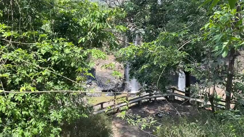 The camera pans across a forest revealing a waterfall in the distance. The foreground is filled with green trees and a wooden fence. The waterfall cascades over dark rocks into a pool of water. The sky is bright and the sun is shining.