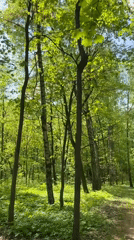 Spring morning walk through Moscow parks and streets documented