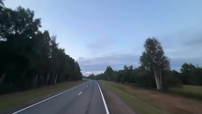 A perspective shot from a vehicle traveling down an empty asphalt road flanked by dense green trees on both sides. The sky is a pale blue with scattered clouds, suggesting it is either dawn or dusk. The road curves gently to the left in the distance, with a single set of headlights visible far ahead. The camera appears to be mounted on the front of the vehicle, capturing the forward motion and the passing scenery. The overall mood is serene and solitary, evoking a sense of travel and open road.