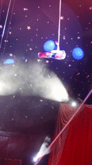 Circus performance features aerial acrobat and horse act in Plovdiv