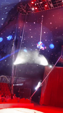 Circus performance features aerial acrobat and horse act in Plovdiv
