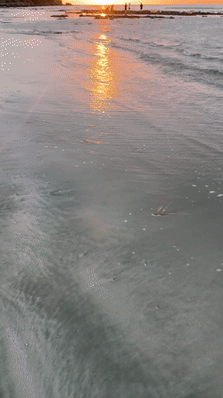 Wedding photoshoot at sunset on a Kuta Selatan beach