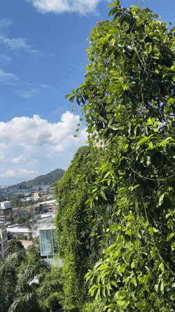 Hillside view over Ratsada town and distant mountains