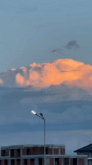 Sky watching and four-leaf clover discoveries in Svilengrad