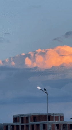 Sky watching and four-leaf clover discoveries in Svilengrad