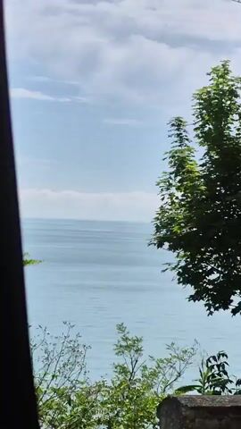 A video pans across a scenic view of the ocean and some trees. In the foreground, there is a grey concrete barrier. Beyond the barrier, there is a body of water that appears to be the ocean, stretching out to the horizon. The sky is blue with some scattered clouds. There are several trees with green leaves, some of which are bare branches, positioned in front of the ocean and sky. The camera is moving, suggesting it is from a vehicle.