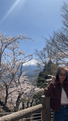 Tourists gather in Fujiyoshida for Mount Fuji cherry blossom viewing
