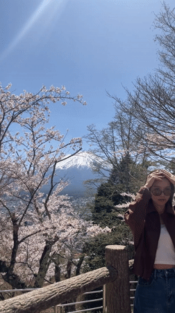 Tourists gather in Fujiyoshida for Mount Fuji cherry blossom viewing