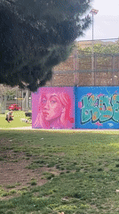 Dogs play in Barcelona park amid routine city life