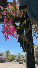 Daily life captured in Sharm El Sheikh resort district