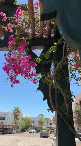 Daily life captured in Sharm El Sheikh resort district