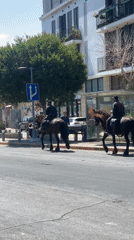 Morning streets of Tel Aviv-Yafo, horses and traffic in motion