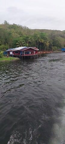 A low-angle, slightly blurry, landscape video shows a red and white stilted house on the shore of a large body of water. Several people are swimming or playing in the water near the house. Trees and hills are visible in the background. The water is dark and choppy. The video is very shaky and the orientation is rotated 90 degrees counter-clockwise.