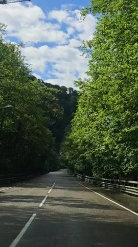 The video shows a road running through a dense forest on a sunny day with a blue sky and scattered white clouds. The road is asphalt with a white line marking the center, and there are guardrails on both sides. The trees lining the road create a canopy, partially obscuring the sky. In the distance, a heavily wooded hillside is visible. The camera is positioned as if recording from inside a moving vehicle. A sound is heard that could be the engine of a vehicle passing or nearby.