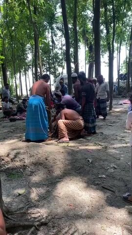 The video shows a group of men outdoors gathered around a downed animal, possibly a goat or sheep. The animal appears to be restrained near a tree.  Several men are shirtless and wearing traditional checkered sarongs. Other men are fully clothed, some in traditional Muslim garb. A child in a striped shirt and orange shorts runs past in the foreground. The environment is a dirt clearing surrounded by trees. The men appear to be preparing the animal, suggesting a ritual sacrifice or slaughter.