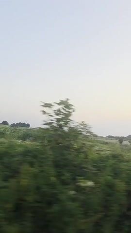 The video shows a blurry, fast-paced view of a rural landscape, likely from a moving vehicle. The scenery consists of green fields, trees, and a pale sky that transitions to a darker hue. The camera angle is tilted, giving the impression of movement and a dynamic perspective of the environment. There are no people or identifiable objects visible in detail due to the motion blur.