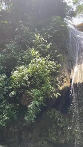 A bright, sunny video captures a picturesque waterfall cascading into a natural pool surrounded by lush green foliage. The waterfall flows over a rocky, moss-covered incline, creating multiple streams of water that fall into the clear, green-tinged water below. Sunlight filters through the dense tree canopy, illuminating the scene. Towards the end of the clip, a person is seen in the water, swimming or standing near the base of the waterfall, extending an arm as if enjoying the spray or the surroundings. The water in the pool appears calm except for where the waterfall directly impacts it. The setting is a vibrant natural environment, likely a tropical or subtropical forest in Guanta, Venezuela. Partial text "ELEVBO" is visible in the bottom left corner at the beginning of the video.