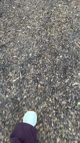 The video begins with a close-up of a path covered in wood chips. The camera moves forward, revealing that the path leads into a forest with tall, thin trees. Several people can be seen walking in the distance on the path. The camera then pans upwards, showing the height of the trees and a glimpse of the sky above.