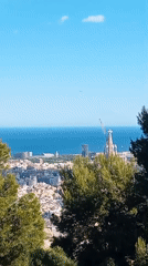 Aircraft spotted over Barcelona skyline from elevated viewpoint