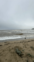 Choppy seas and overcast skies observed at Bulgarian beach
