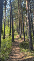Morning hike documented at Stolby Nature Reserve, Krasnoyarsk