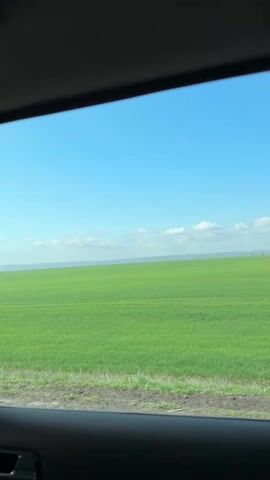 The video, shot from inside a moving vehicle, presents a view of a large, bright green field under a clear blue sky with a few scattered clouds near the horizon. The camera angle focuses through a car window, capturing the landscape passing by. The bottom of the frame includes part of the vehicle's interior, specifically the dark-colored door and handle. The scene is rural and depicts a simple, natural setting.