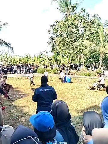The video shows a martial arts performance taking place in an open grassy area. A group of people, many wearing head coverings, are watching the performance. In the background are trees, including palm trees, and some structures. The performer, dressed in black, is wielding what appears to be a weapon, moving in a choreographed manner. The sky is blue with scattered clouds. There are some barriers or makeshift structures around the performance area. The camera is positioned behind the audience, providing a view of the performance from their perspective. The overall atmosphere appears to be that of a community event or cultural demonstration.