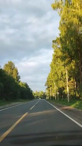 A point of view shot from inside a vehicle shows a paved road with a double yellow line down the center, curving slightly to the left. The road is bordered on the left by a grassy embankment covered in trees and bushes. On the right, a dense line of tall trees, primarily birches and pines, with bright green foliage, lines the road. Sunlight filters through the trees, creating areas of light and shadow. There is a single street light visible on the right side of the road, and several road signs are posted along the right shoulder. In the distance, a white car is traveling in the same direction. The sky is partly cloudy with a mix of white and grey clouds.