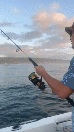 Fishing group catches fish at sunset off Woonona coast