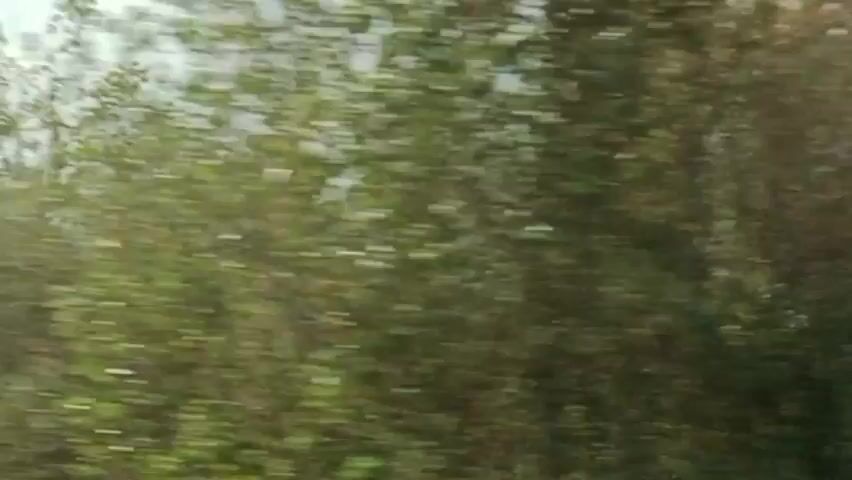A first-person perspective video shows trees with green leaves swaying in the wind. In the background, there are mountains with a hazy sky. A highway guardrail is visible in the foreground. There are power lines running horizontally across the scene. The scene appears to be a drive through a mountainous area on a windy day.