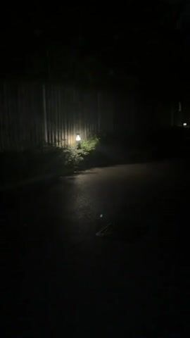 The video is a dark, low-lit scene at night. A dim light fixture illuminates a section of a wooden fence and some shrubbery next to a paved road. A car is parked further down the road, its tail lights visible. The sky is dark with a crescent moon visible through the trees.