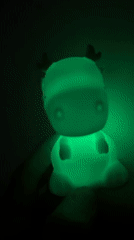 Glowing animal figurines captured on video in Fethiye Turkey