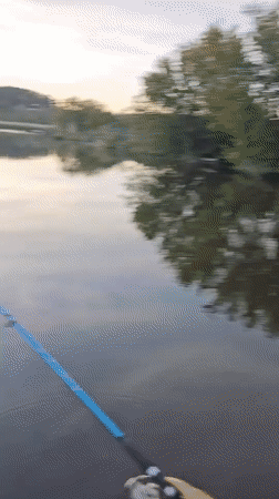 Fishing and water infrastructure recorded at Yermolayevo lake