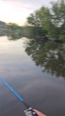 Here is a description of the video:

The video shows a fishing rod in the foreground, with a lake and trees visible in the background. The sky is a mix of colors, suggesting a sunrise or sunset. The water is calm, with reflections of the sky and trees visible. The fishing line is cast into the water.