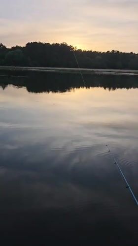 Fishing and water infrastructure recorded at Yermolayevo lake