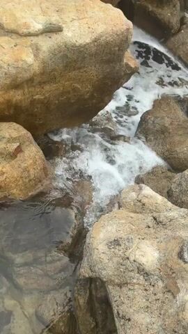 The video begins with a close-up view of water flowing over and around rocks, creating white foam. The camera then pans up and slightly to the right, revealing a rocky shoreline with waves gently washing ashore. The sky appears overcast, and the ocean water is a greenish-blue color. The rocks are varied in size and color, with some appearing smooth and rounded, while others are more jagged and rough. The overall impression is of a natural, somewhat rugged coastal environment.