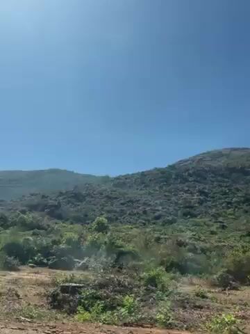 The video shows a car moving along a road on a sunny day. The road is lined with vegetation and a large hill covered in trees. The sky is clear and blue.  The car is moving at a moderate speed, providing a view of the landscape.