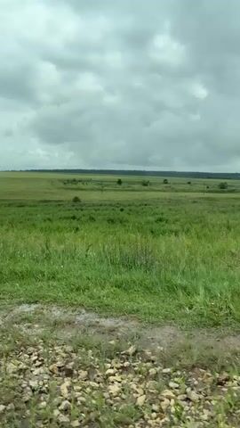 A person is filming a landscape from a vehicle. The landscape is mostly green fields with some trees scattered throughout. The sky is overcast with gray clouds. The ground in the foreground appears to be a dirt road with rocks. The video pans from left to right, showing more of the landscape. There are no other people or animals visible in the video. The video appears to have been taken on a cloudy day.