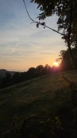 The video shows a sunset over a grassy hill. The sun is setting behind a line of trees, casting a warm glow across the sky. The foreground is dominated by a grassy slope, with some dark foliage in the bottom right corner. In the distance, a city can be seen nestled among the hills. The sky is a mix of blue and orange, with some wispy clouds.